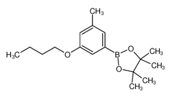 Picture of 3-Butoxy-5-methylphenylboronic acid, pinacol ester