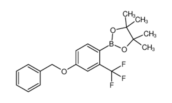Picture of 4-Benzyloxy-2-trifluoromethylphenylboronic acid pinacol ester