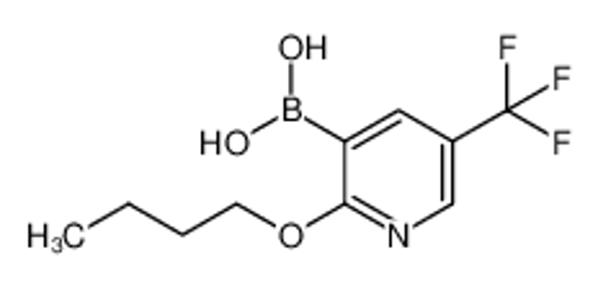 Изображение 2-Butoxy-5-(trifluoromethyl)pyridine-3-boronic acid
