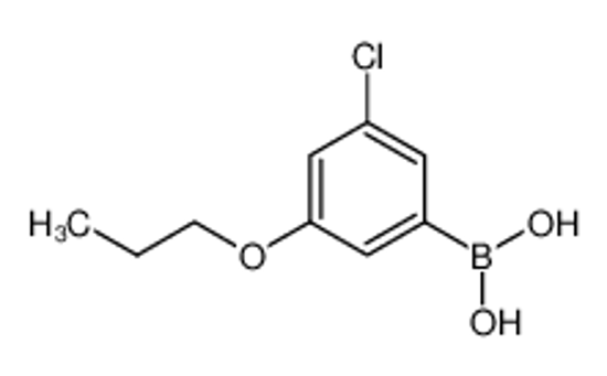 Picture of (3-Chloro-5-propoxyphenyl)boronic acid