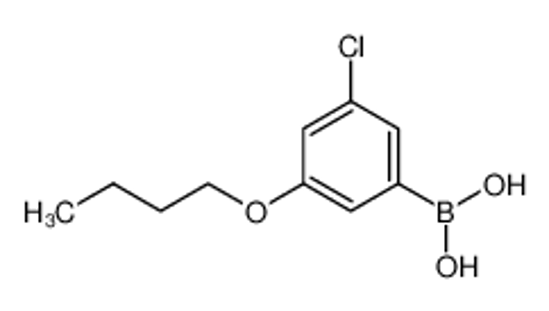 Imagem de (3-Butoxy-5-chlorophenyl)boronic acid
