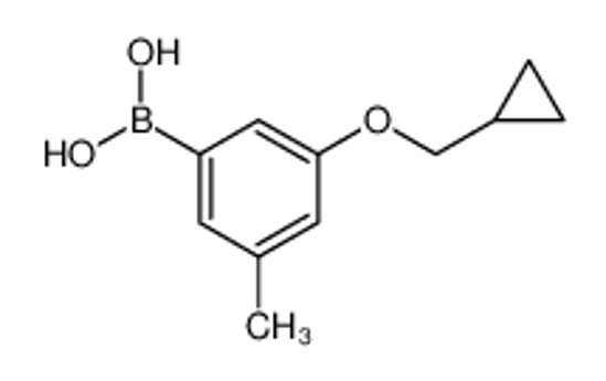 Picture of [3-(cyclopropylmethoxy)-5-methylphenyl]boronic acid