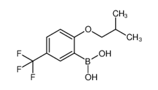 Imagem de 2-Isobutoxy-5-(trifluoromethyl)phenylboronic acid