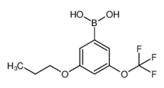 Picture of [3-propoxy-5-(trifluoromethoxy)phenyl]boronic acid