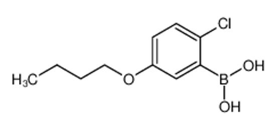 Picture of 5-Butoxy-2-chlorophenylboronic acid