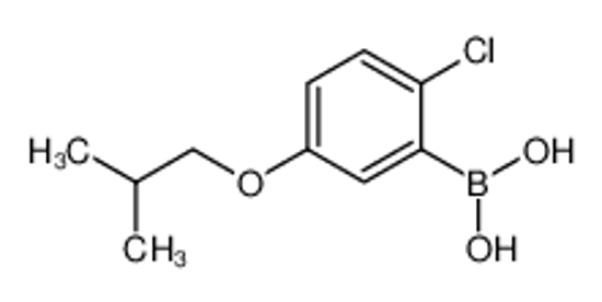 Picture of 2-Chloro-5-isobutoxyphenylboronic acid