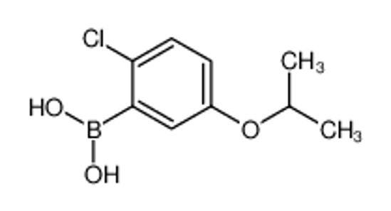 Picture of 2-Chloro-5-isopropoxyphenylboronic acid