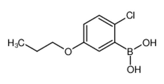Picture of (2-Chloro-5-propoxyphenyl)boronic acid
