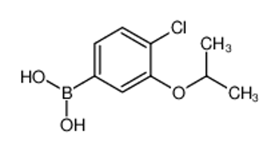 Picture of (4-Chloro-3-isopropoxyphenyl)boronic acid