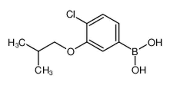 Picture of [4-chloro-3-(2-methylpropoxy)phenyl]boronic acid