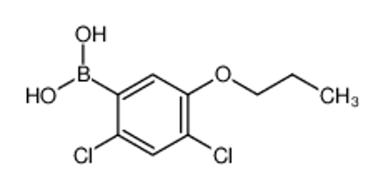 Picture of (2,4-Dichloro-5-propoxyphenyl)boronic acid