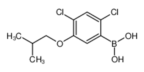 Picture of [2,4-dichloro-5-(2-methylpropoxy)phenyl]boronic acid