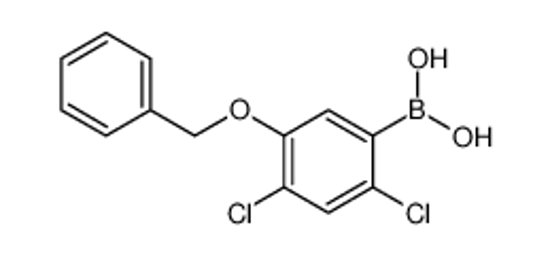 Изображение (2,4-dichloro-5-phenylmethoxyphenyl)boronic acid
