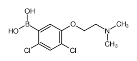 Picture of [2,4-dichloro-5-[2-(dimethylamino)ethoxy]phenyl]boronic acid