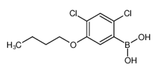 Picture of (5-Butoxy-2,4-dichlorophenyl)boronic acid