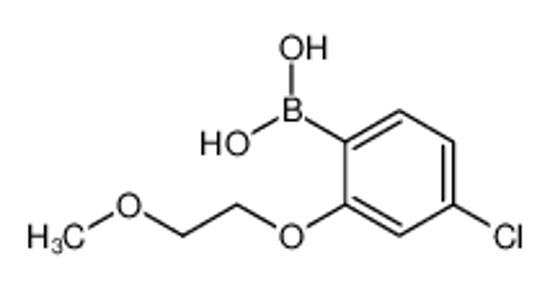 Picture of [4-chloro-2-(2-methoxyethoxy)phenyl]boronic acid