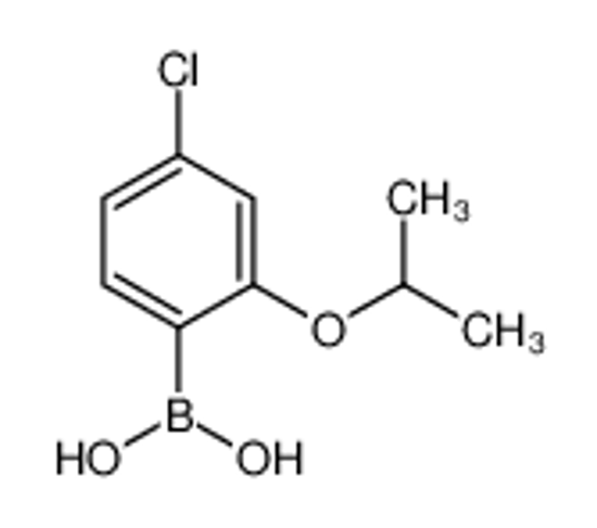 Picture of (4-chloro-2-propan-2-yloxyphenyl)boronic acid