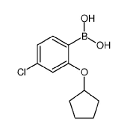 Picture of (4-chloro-2-cyclopentyloxyphenyl)boronic acid