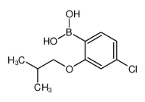 Picture of [4-chloro-2-(2-methylpropoxy)phenyl]boronic acid