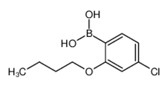 Picture of (2-Butoxy-4-chlorophenyl)boronic acid
