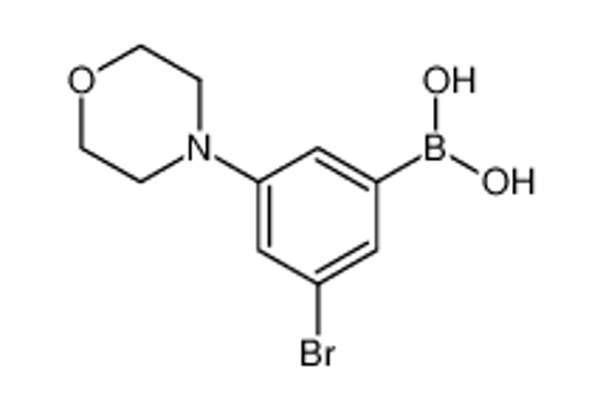 Picture of (3-bromo-5-morpholin-4-ylphenyl)boronic acid