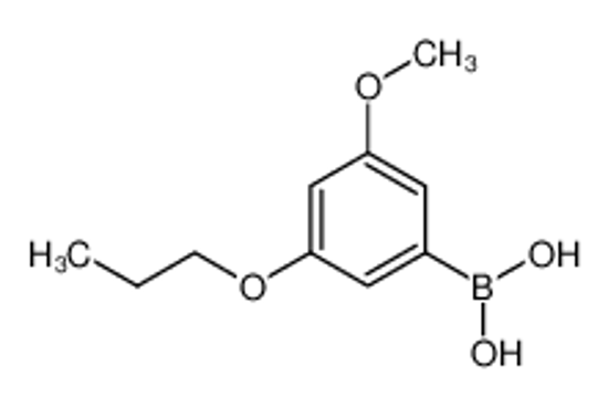 Picture of (3-Methoxy-5-propoxyphenyl)boronic acid