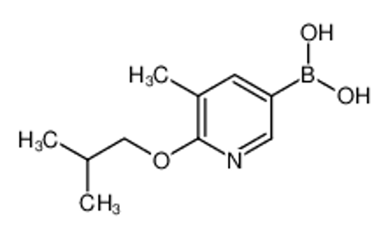 Picture of (6-Isobutoxy-5-methylpyridin-3-yl)boronic acid