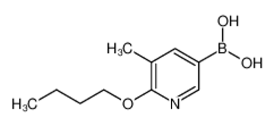 Picture of (6-Butoxy-5-methylpyridin-3-yl)boronic acid