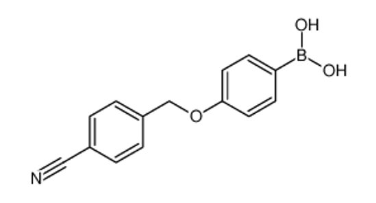 Picture of [4-[(4-cyanophenyl)methoxy]phenyl]boronic acid