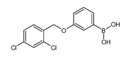 Picture of [3-[(2,4-dichlorophenyl)methoxy]phenyl]boronic acid