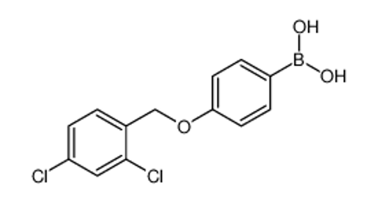 Picture of [4-[(2,4-dichlorophenyl)methoxy]phenyl]boronic acid