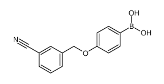 Picture of [4-[(3-cyanophenyl)methoxy]phenyl]boronic acid