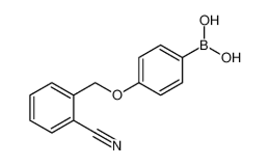 Imagem de [4-[(2-cyanophenyl)methoxy]phenyl]boronic acid