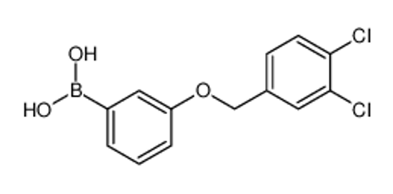 Picture of [3-[(3,4-dichlorophenyl)methoxy]phenyl]boronic acid