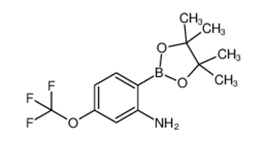 Picture of 2-(4,4,5,5-Tetramethyl-1,3,2-dioxaborolan-2-yl)-5-(trifluoromethoxy)aniline