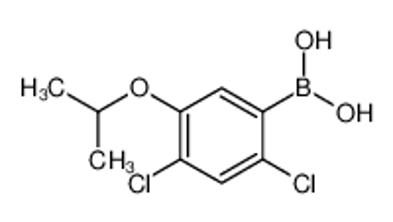 Picture of (2,4-dichloro-5-propan-2-yloxyphenyl)boronic acid
