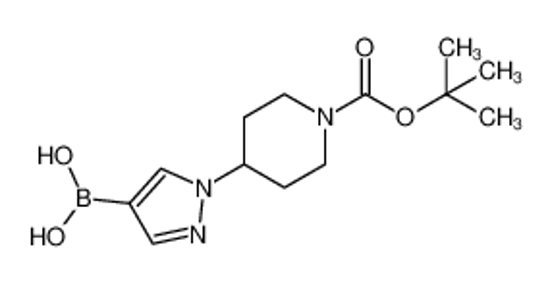Imagem de 1-(1-BOC-Piperidino)pyrazole-4-boronic acid