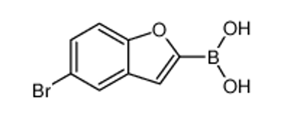 Изображение (5-bromo-1-benzofuran-2-yl)boronic acid
