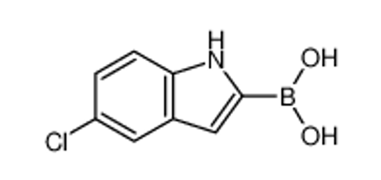 Изображение (5-Chloro-1H-indol-2-yl)boronic acid