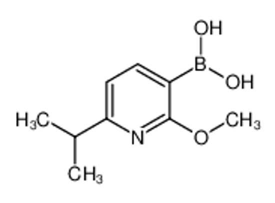 Picture of (6-Isopropyl-2-methoxypyridin-3-yl)boronic acid