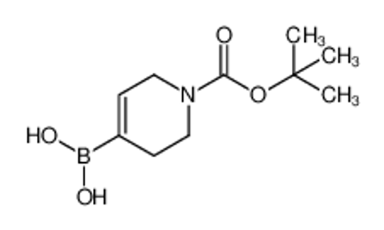 Picture of (1-(tert-Butoxycarbonyl)-1,2,3,6-tetrahydropyridin-4-yl)boronic acid