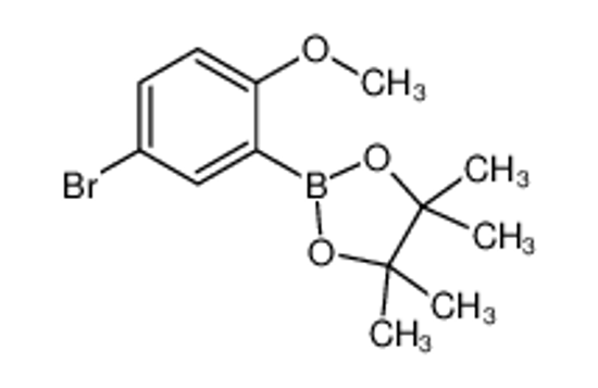 Picture of 2-(5-Bromo-2-methoxyphenyl)-4,4,5,5-tetramethyl-1,3,2-dioxaborolane