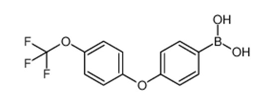 Picture of [4-[4-(trifluoromethoxy)phenoxy]phenyl]boronic acid