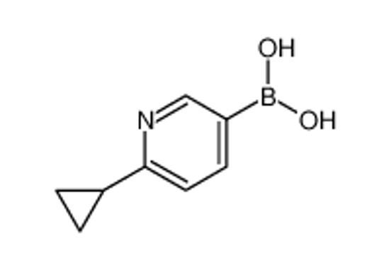 Picture of (6-Cyclopropylpyridin-3-yl)boronic acid