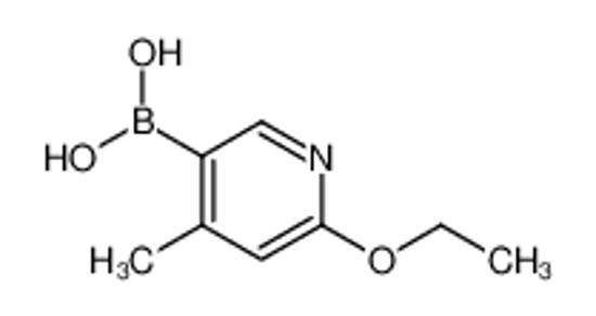 Picture of (6-Ethoxy-4-methylpyridin-3-yl)boronic acid