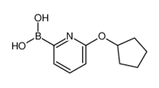Picture of (6-cyclopentyloxypyridin-2-yl)boronic acid