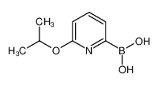 Picture of (6-propan-2-yloxypyridin-2-yl)boronic acid