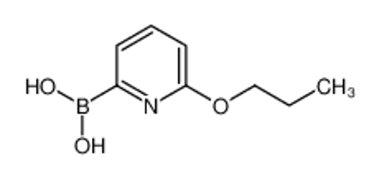 Picture of (6-Propoxypyridin-2-yl)boronic acid