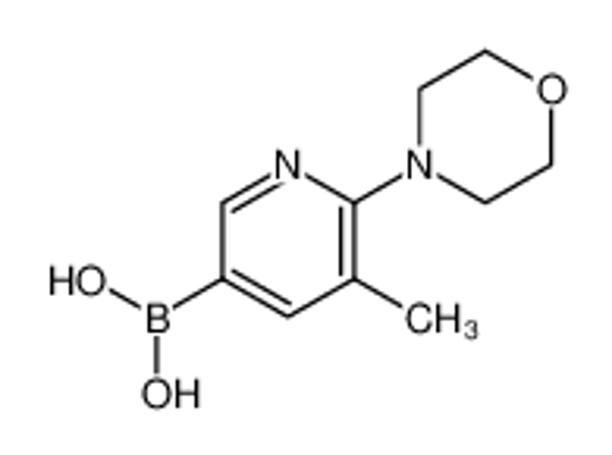 Picture of (5-methyl-6-morpholin-4-ylpyridin-3-yl)boronic acid