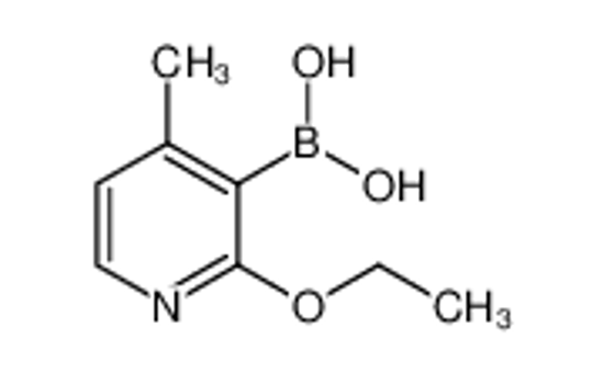 Picture of (2-Ethoxy-4-methylpyridin-3-yl)boronic acid